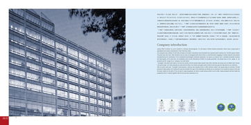 企業(yè)形象設(shè)計(jì)與策劃 系統(tǒng)化構(gòu)建品牌價(jià)值的雙翼